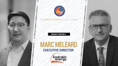 Marc Meleard