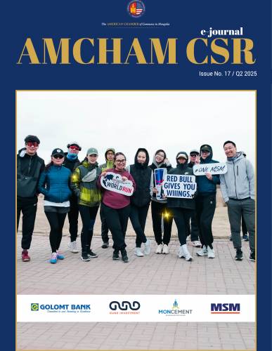 CSR-e-Journal No. 17